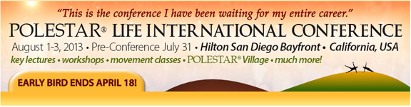 Polestar Conference Banner